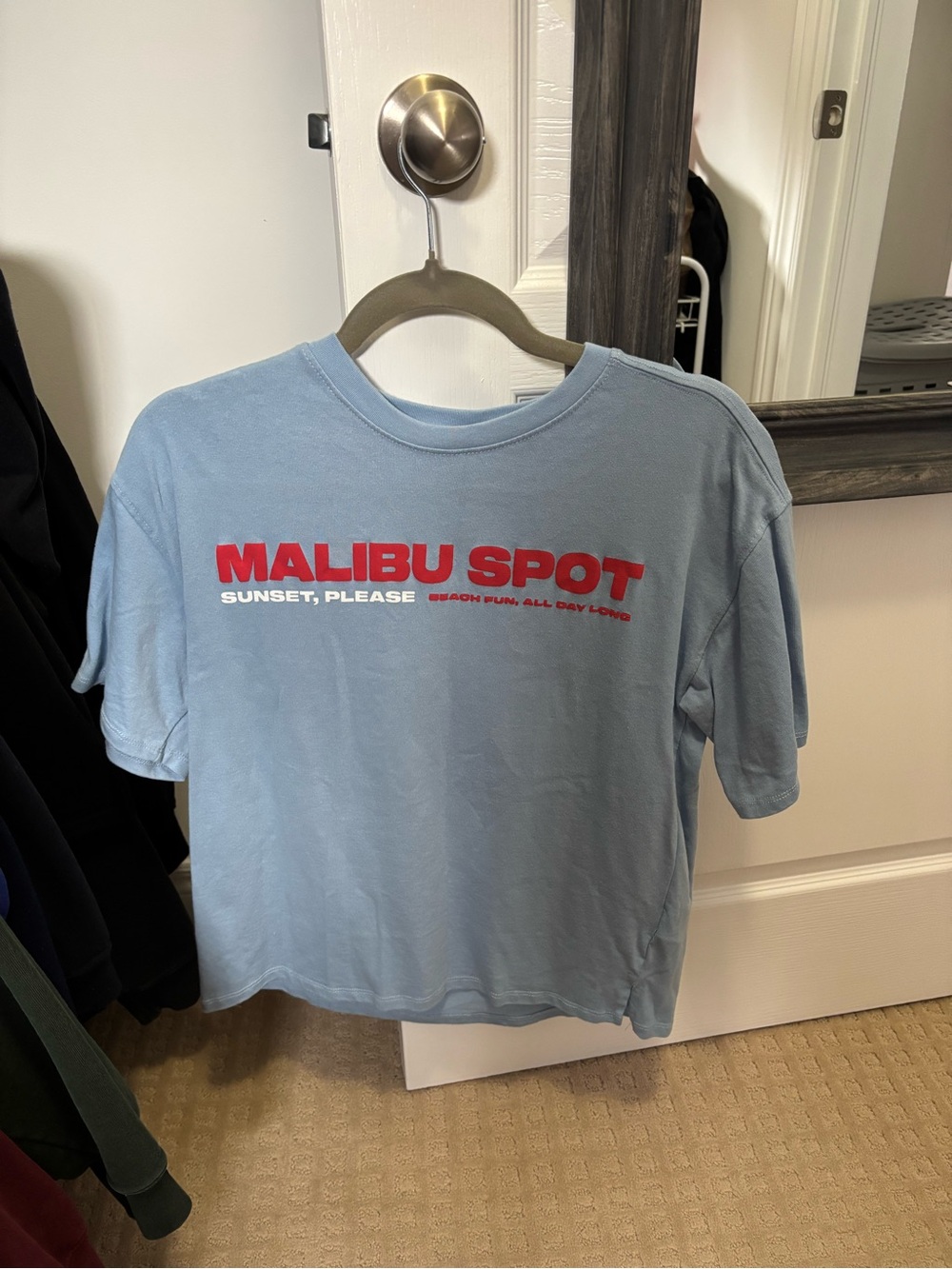 Zara Light Blue Tee with Red Graphic